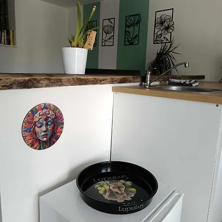 Terre Happy Gasthuis Wibrin