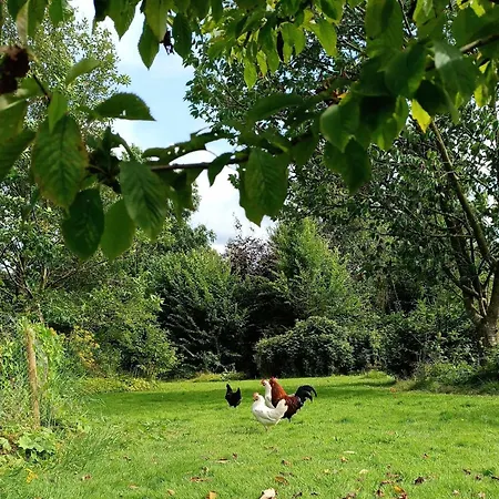 Terre Happy Maison d'hôtes