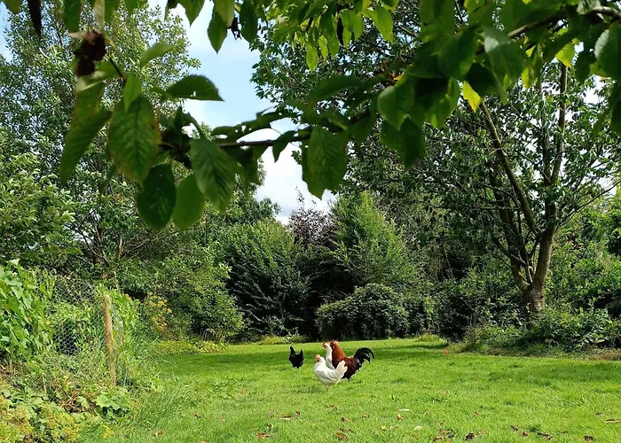 Terre Happy Gasthuis